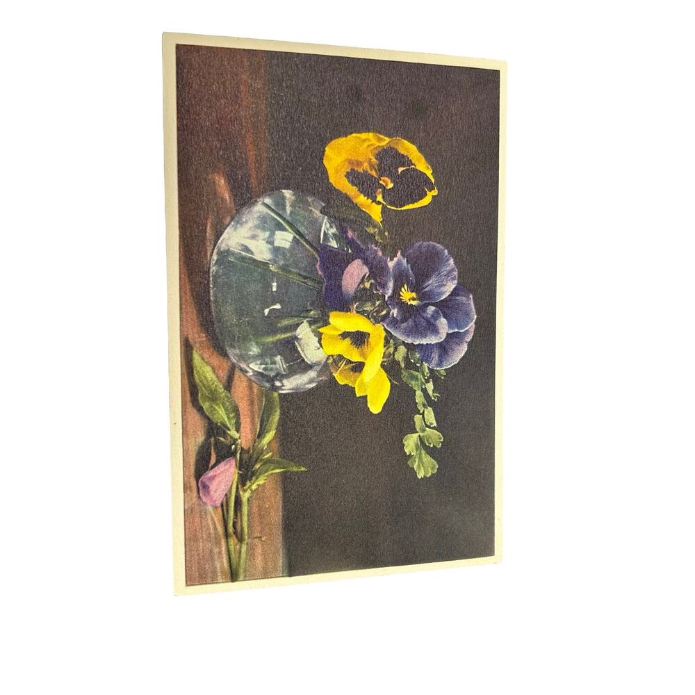 Lot of 13 Flowers Stehli Vintage Swiss Floral Postcards Unused Botanical - Picture 14 of 16